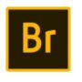 Adobe Bridge for Windows