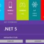 .NET Framework 5.0 2021 for Windows